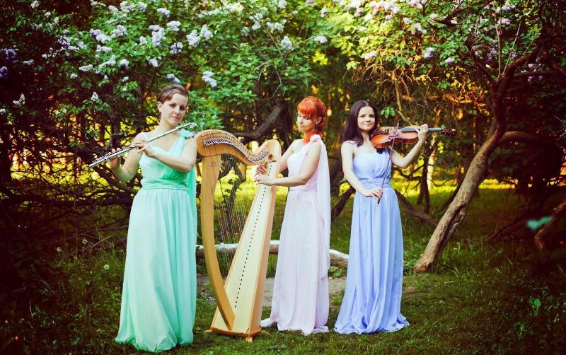 Развлечения