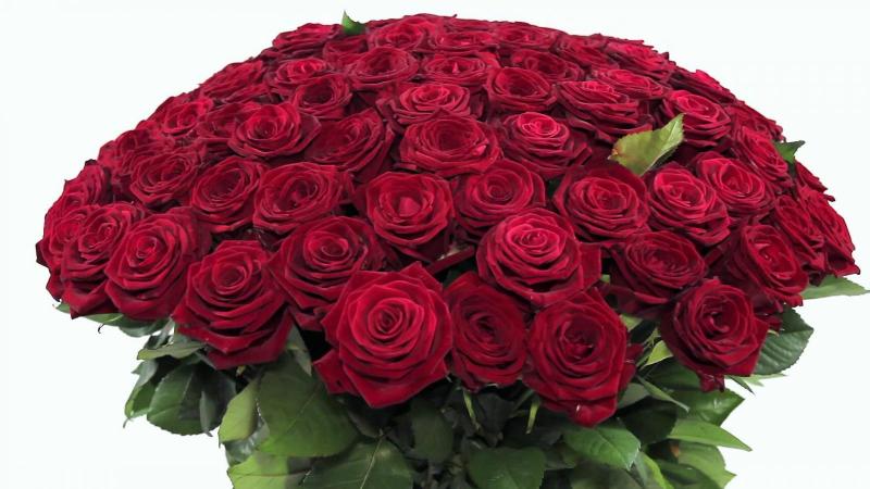 Что приготовить на 10 лет свадьбы. Смотреть фото Что приготовить на 10 лет свадьбы. Смотреть картинку Что приготовить на 10 лет свадьбы. Картинка про Что приготовить на 10 лет свадьбы. Фото Что приготовить на 10 лет свадьбы