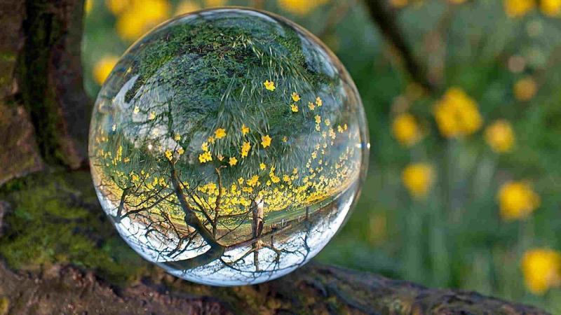 что приготовить на хрустальную свадьбу. Смотреть фото что приготовить на хрустальную свадьбу. Смотреть картинку что приготовить на хрустальную свадьбу. Картинка про что приготовить на хрустальную свадьбу. Фото что приготовить на хрустальную свадьбу