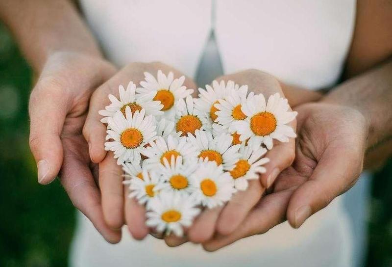 Комплименты гостям