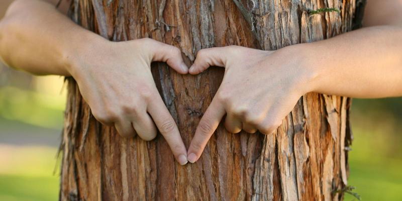 Деревянная свадьба