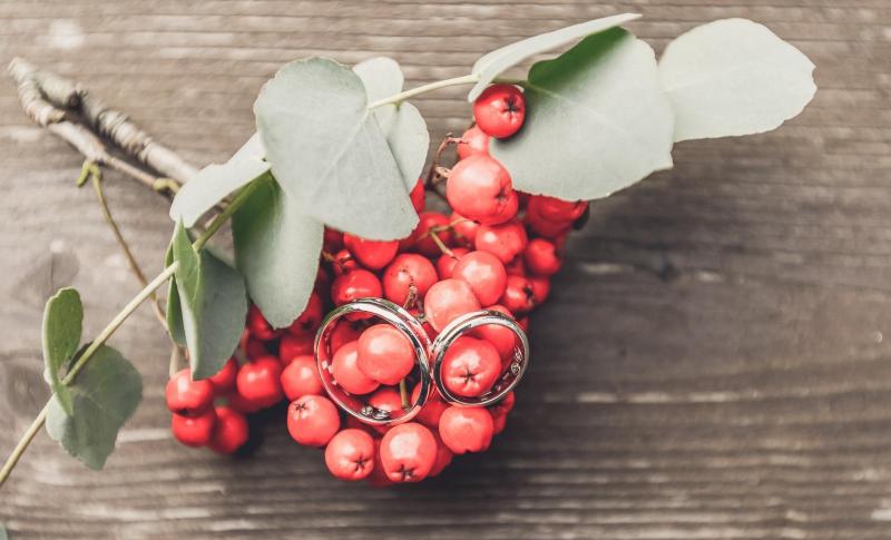 Рябиновая свадьба